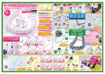 平成27年版 / 2015 Edition 裏面