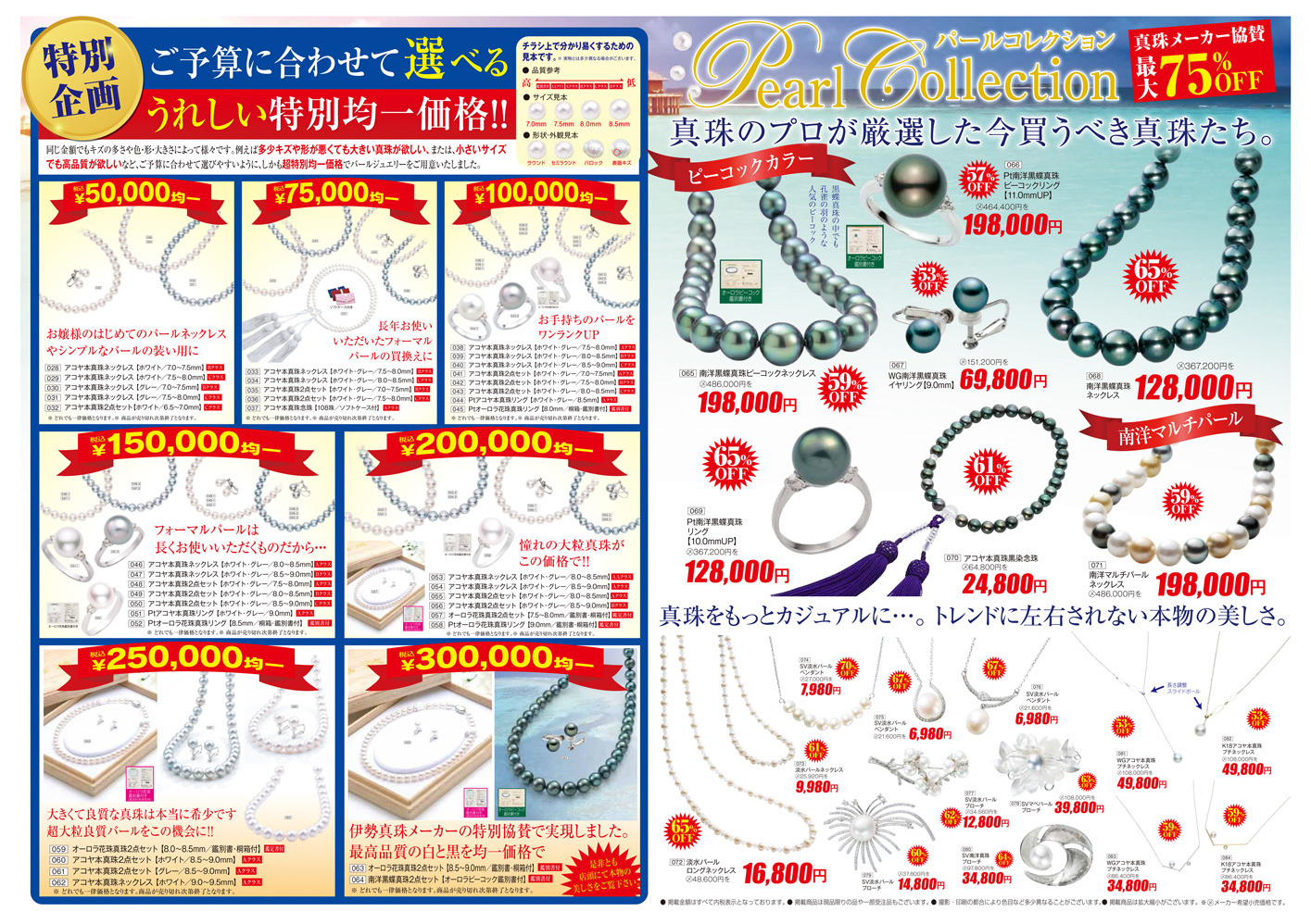 平成28年版 / 2016 Edition B 裏面